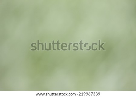 blur background white and green  textured