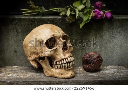 Still life with human skulls and apple rotten on wooden table