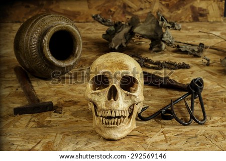 photography Still life with human skulls on wooden background.