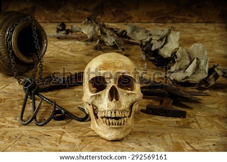 photography Still life with human skulls on wooden background.