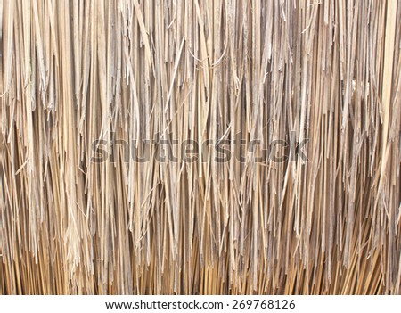 Thatched roof plants for shade and rain as the roof is made from natural grass is beautiful does not have to cost.