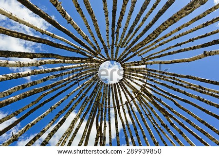 birch trees in a circle on the sky background