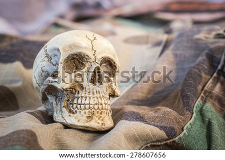 still life with skull on military chintz
