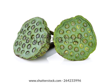 Lotus seed isolate white background