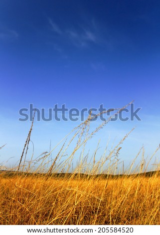 Close up of beautiful African plains landscape and blue sky (Rwanda)