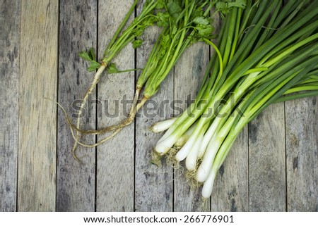 onion welsh and coriander on wood plank, vegetable background