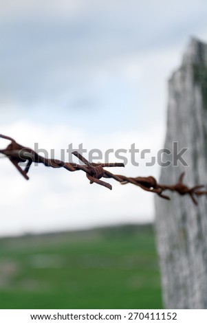 rusty barbed wire on an old wooden fence post, selected focus, shallow depth of field