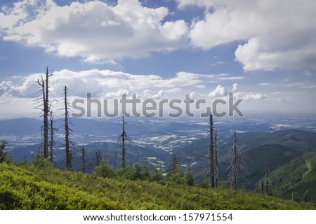 Mountains recovering from consequences of pollution and acid rain in post-communistic countries. Dead trees in the mountains of Beskydy,