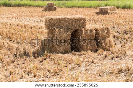 Rice straw for animal foods