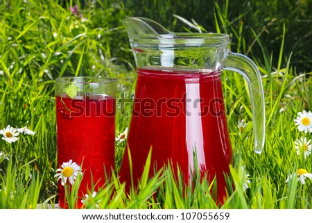 Glass and Jug of fruit water over green grass and daises