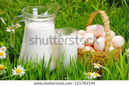 Jug and glass of milk with eggs, green grass and daisies