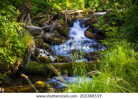 Beautiful waterfall landscape (Ukrainian Carpathian ) in green forest