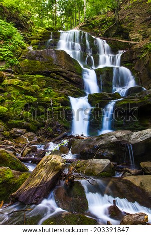 Beautiful waterfall landscape (Ukrainian Carpathian) in green forest