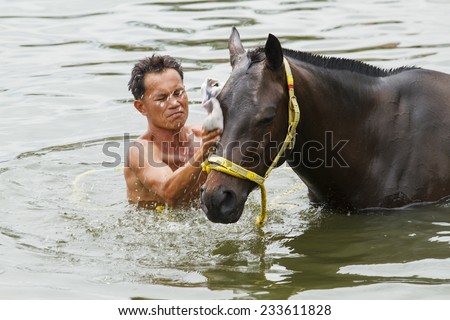 Nakhonratchasrima,Thailand - AUGUST 26  A man cleaning and taking a bath with a horse in river on August 26, 2014 in Nakhonratchasrima,Thailand