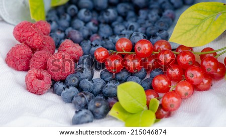 Fresh wild berries