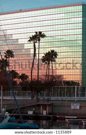 Palm trees and a Harbor sunset reflected in te side of a modern office high rise sunset