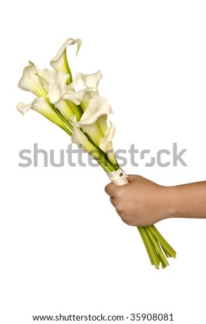 stock photo White Calla Lilly bridal bouquet in the brides hand isolated 