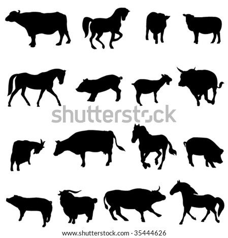 The four most popular animals - cattle, horses, pigs, sheep