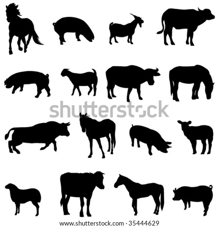 The four most popular animals - cattle, horses, pigs, sheep