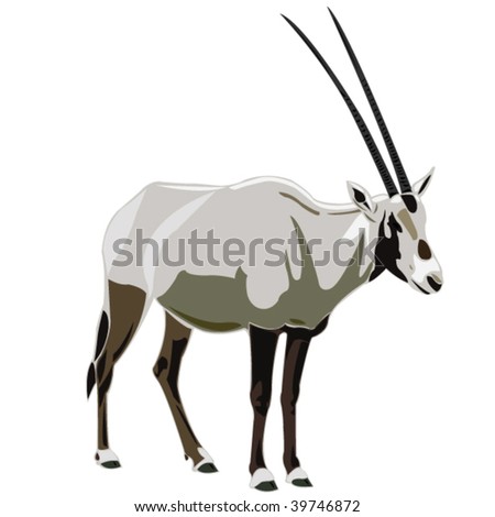 Oryx Vector