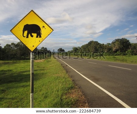 Warning; Elephants