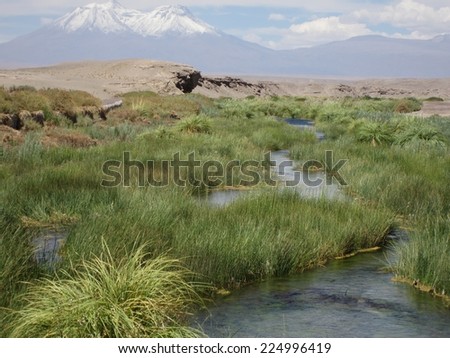The river make a green line through the  Atacama Desert