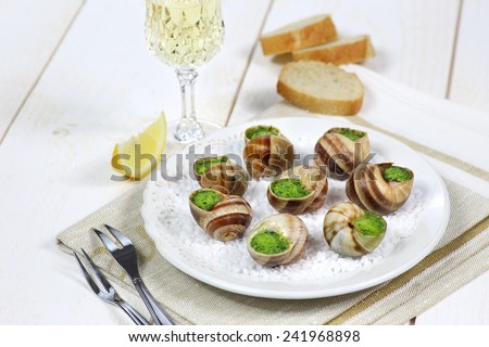 Escargot, bourgogne snail and a glass of white wine, french gastronomy