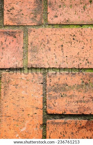 A close up shot of some brick work.