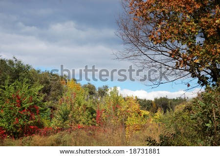 Autumn landscape - weather changing