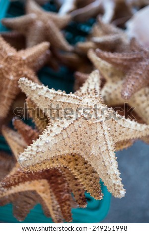 A stack of starfish for sale as ornaments in Cancun, Mexico