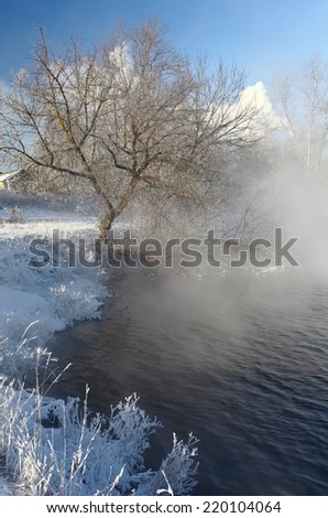 Winter landscape with tree and winter river in a fog at very cold sunny day. Beautiful Christmas landscape.