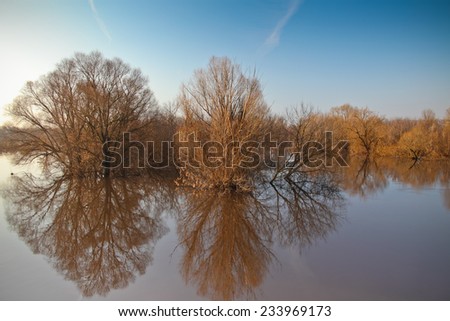 Spring morning landscape with trees reflections in water and blue sky.