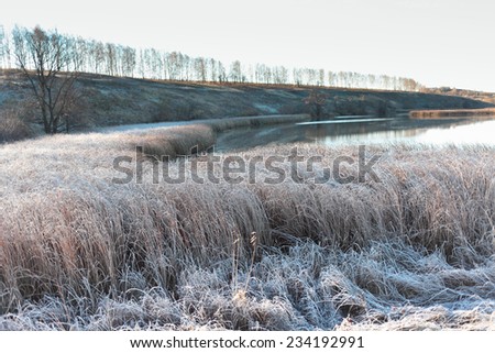Autumn landscape with frozen grass at misty sunny morning.