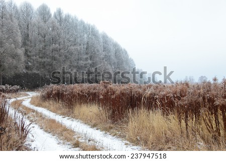 Winter landscape with falling snow at very cold weather.