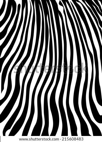 Zebra stripes seamless texture