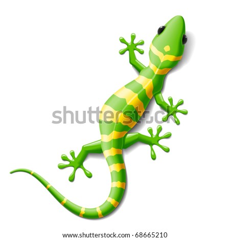 Tools Vector on Gekko Shapes Gecko Vector Lizard In Green Nature Or