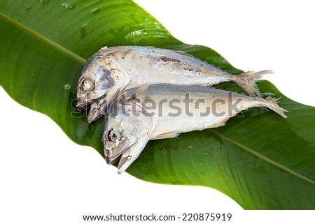 steamed boiled mackerel ready for cook  on white background