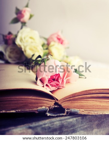 pink rose on an open old book