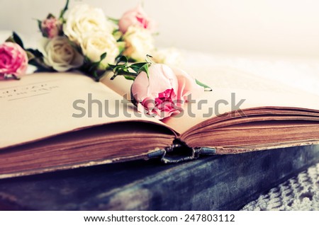 pink rose on an open old book