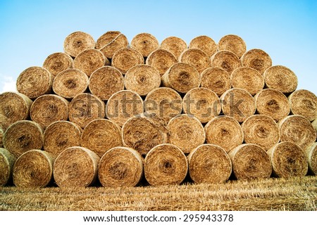 hay and straw bales in the end of summer