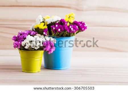 Dried flowers in bright colored buckets on the wooden background