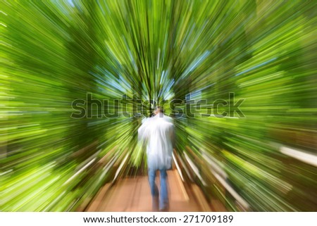 Forest Scene with Lens Blur and zooming effect