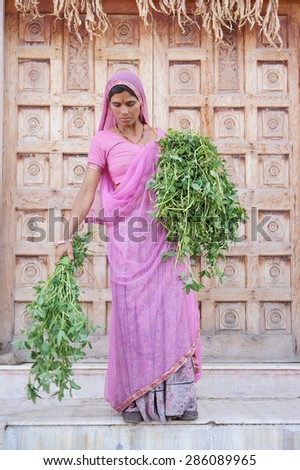 PUSHKAR, INDIA - FEBRUARY 17: An unidentified lady smile to tourist at Pushkar Town on February 17, 2015 in Pushkar, Rajasthan, India. with her the typical colored dress