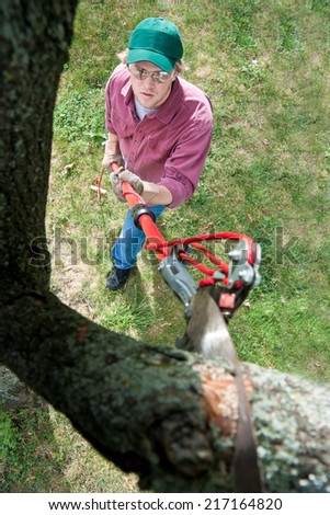 Man cutting Tree Branch with extension saw