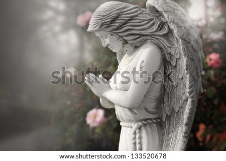 Old angel statue praying in moody garden setting