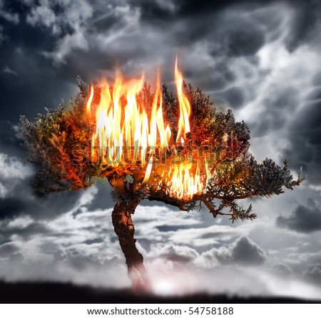 Dramatic photo of a burning tree with stormy sky background