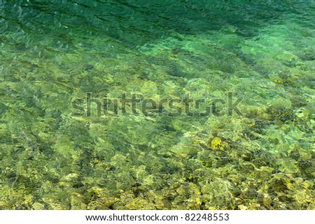 Detail background of ocean floor in tropical green waters
