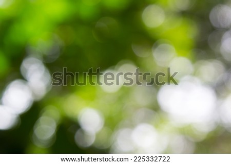 Natural green blurred background,Natural bokeh.