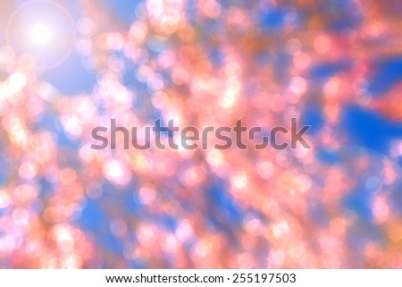 Nature pink bokeh with blue background,Abstract pink backgrounds.