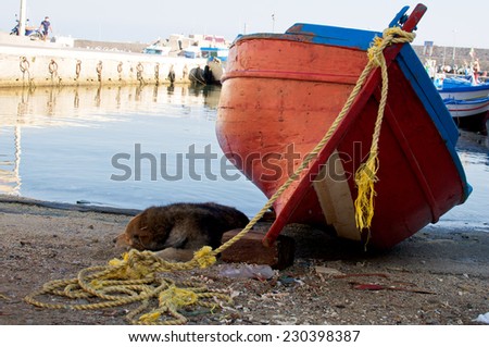 Small fishing boat and sleeping dog